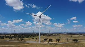 Collector Wind Farm