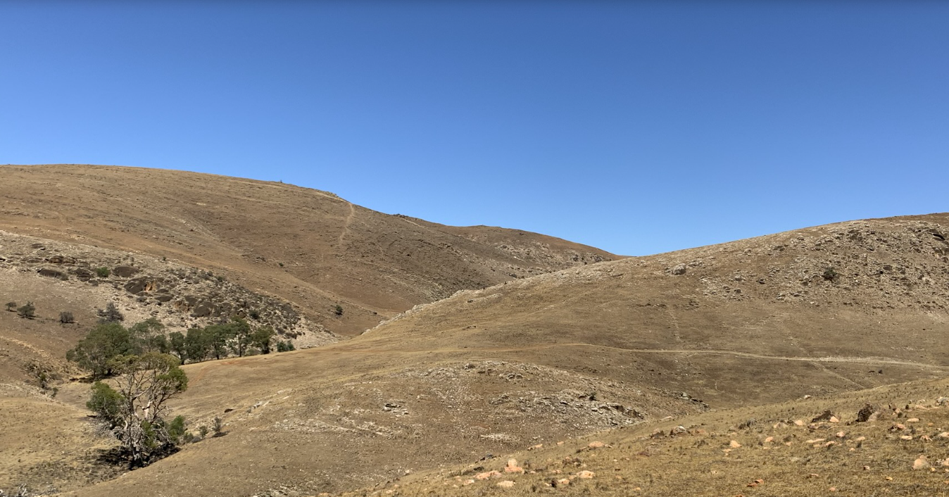 Palmer Wind Farm
