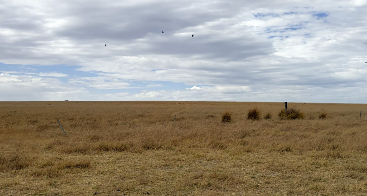 Waddi Wind Farm